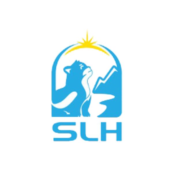 PT Sinar Lintang Horison